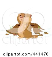 Poster, Art Print Of Cute Groundhog Looking Out By His Den