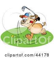 Poster, Art Print Of Brown Dog Focusing While Golfing On A Course