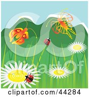 Poster, Art Print Of Butterflies And Ladybugs Frolicking Over Wild Flowers