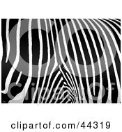 Royalty Free RF Clip Art Of A Zebra Pattern Background by michaeltravers