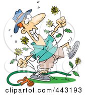 Royalty Free RF Clip Art Illustration Of A Cartoon Mad Man Pulling Dandelions by toonaday #COLLC443193-0008