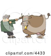 Poster, Art Print Of Cowboy Rancher Trying To Move One Of His Cows