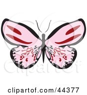 Poster, Art Print Of Fluttering Pink Butterfly With Its Wings Wide Open