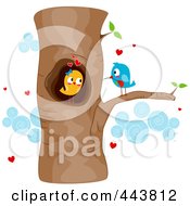 Poster, Art Print Of Courting Love Birds In A Tree