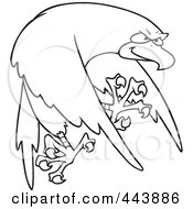 Poster, Art Print Of Cartoon Black And White Outline Design Of A Tough Falcon