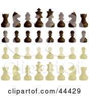 Ebony And Ivory Chess Pieces