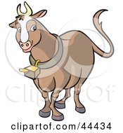 Poster, Art Print Of Brown Horned Cow Wearing A Bell