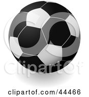 Black Soccer Ball Football