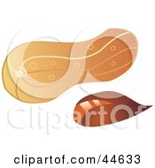 Clipart Illustration Of A Peanut By A Shell by MilsiArt