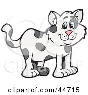 Spotted Cloned Cat With A Dalmatian Coat Pattern