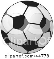 Typical Black And White Soccer Ball