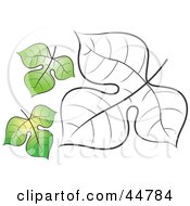 Royalty Free RF Clipart Illustration Of Two Green And One Black And White Tree Leaves