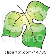 Royalty Free RF Clipart Illustration Of A Green And Yellow Tree Leaf by Lal Perera