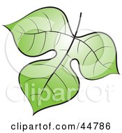 Royalty Free RF Clipart Illustration Of A Glowing Green Tree Leaf