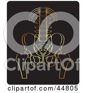 Royalty Free RF Clipart Illustration Of A Gold Xray Of A Human Pelvis And Spine