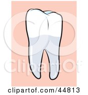 Poster, Art Print Of Perfect Human Molar Tooth
