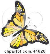 Poster, Art Print Of Flying Orange Black And Yellow Butterfly