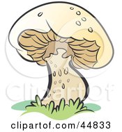 Royalty Free RF Clipart Illustration Of A Fresh Growing Brown Mushroom