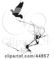 Poster, Art Print Of Black Silhouetted Bird Near Weeds