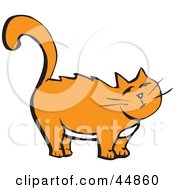 Poster, Art Print Of Chubby Standing Orange Kitty With A White Belly