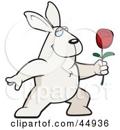 Poster, Art Print Of Amorous White Male Rabbit Presenting A Single Red Rose