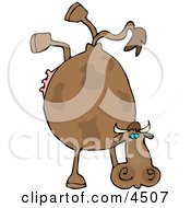 Cow Doing Handstand Clipart
