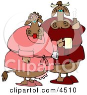 Poster, Art Print Of Cow Couple Wearing Robes In The Morning