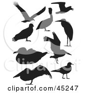 Royalty Free RF Clipart Illustration Of A Digital Collage Of Profiled Black Bird Silhouettes by JR #COLLC45247-0123