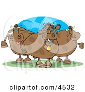 Three Goofy Cows On Pasture Clipart