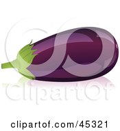 Shiny Organic Purple Eggplant