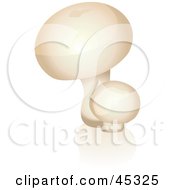 Royalty Free RF Clipart Illustration Of Two Organic Button Mushrooms by Oligo