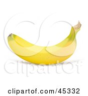 Perfectly Curved Yellow Organic Banana