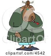 Sick Male Cow Using A Common Mercury Thermometer Clipart