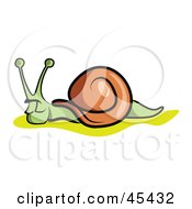 Royalty Free RF Clipart Illustration Of A Slowly Moving Green And Brown Snail Bug