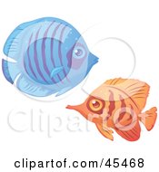 Poster, Art Print Of Blue And Orange Tropical Fish Pair