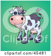 Poster, Art Print Of Smiling Dairy Cow With Pink Udders