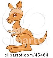 Young Brown Kangaroo In Profile