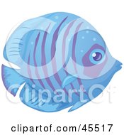 Shy Blue And Purple Striped Fish In Profile