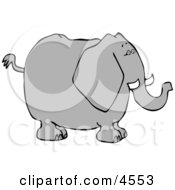 Big Elephant With Tusks Clipart
