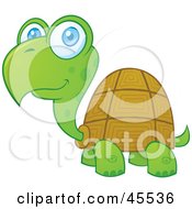 Friendly Blue Eyed Turtle Smiling