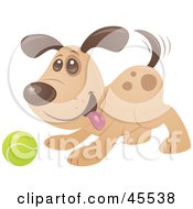 Royalty Free RF Clipart Illustration Of A Playful Puppy Dog Wagging His Tail And Playing Fetch With A Tennis Ball by John Schwegel #COLLC45538-0127