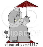 Anthropomorphic Elephant Sitting Under An Umbrella Clipart