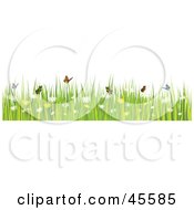 Border Of Butterflies With Grass And Spring Flowers On White