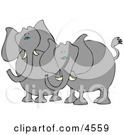 Two Elephants With Tusks Standing Beside Each Other