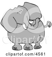 Alert Elephant Looking Over His Shoulder For Poachers Clipart by djart
