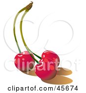 Royalty Free RF Clipart Illustration Of Three Connected Red Bing Cherries by pauloribau