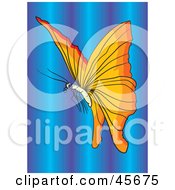 Poster, Art Print Of Beautiful Orange Winged Butterfly Over A Purple And Blue Background