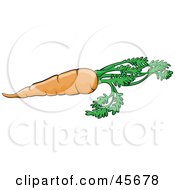 Poster, Art Print Of Fresh Orange Carrot With The Leaves