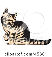 Poster, Art Print Of Curious Beige And Black Striped Kitty Cat Looking Up To The Left