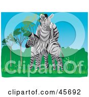 Royalty Free RF Clipart Illustration Of A Mother And Baby Zebra In A Green Landscape